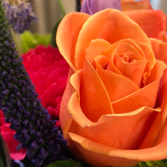 Meet your Posher, Dinara - Picture 1 of 1